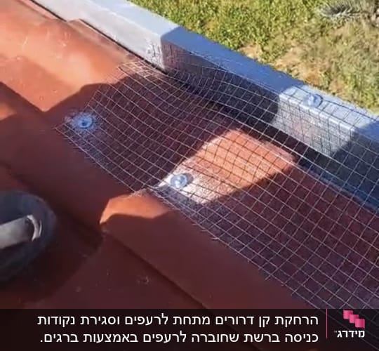רשת מתכת מותקנת על גג למניעת כניסת יונים